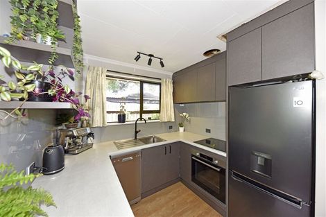 Photo of property in 25a Horseshoe Lake Road, Shirley, Christchurch, 8061