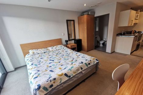 Photo of property in Dual Apartments, 108/142 Vivian Street, Te Aro, Wellington, 6011