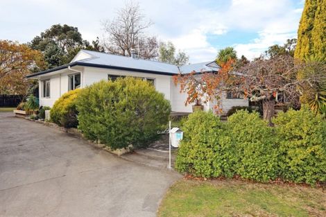Photo of property in 21 Kaweka Place, Havelock North, 4130