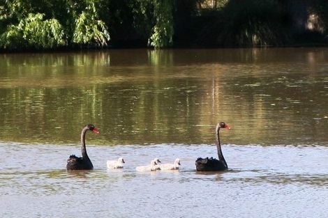 Photo of property in 135 Ballantyne Road, Poraiti, Napier, 4182
