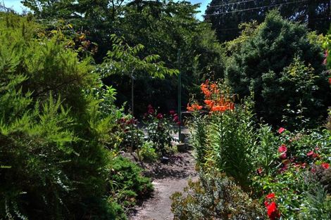 Photo of property in 40 Falcon Street, Palmerston, 9430