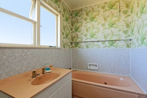 Photo of property in 906 Rangiora Street, Mahora, Hastings, 4120