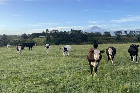 Photo of property in 187 Smart Road, Hillsborough, New Plymouth, 4372