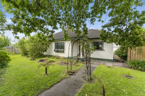 Photo of property in 8 Dundas Road, Sanson, 4817