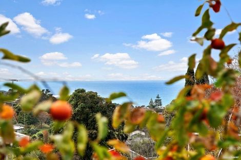 Photo of property in 5 Elizabeth Place, Mairangi Bay, Auckland, 0630