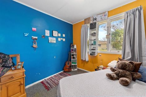 Photo of property in 17 Maria Place, Turangi, 3334