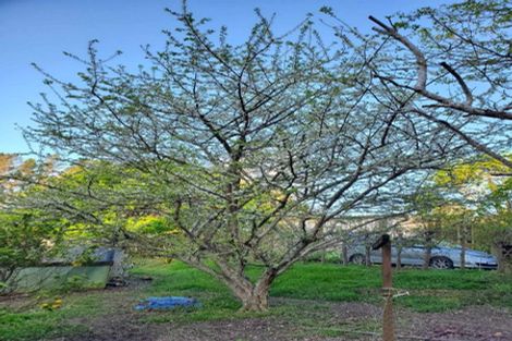 Photo of property in 482 Krippner Road, Puhoi, Warkworth, 0994