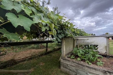 Photo of property in 64 Whitaker Street, Kihikihi, Te Awamutu, 3800