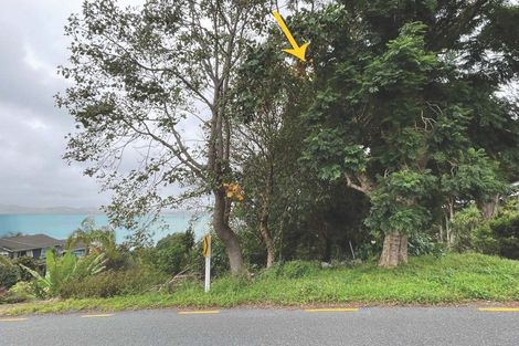 Photo of property in 48 Scott Road, Tamaterau, Whangarei, 0174