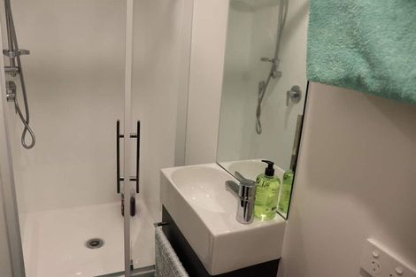 Photo of property in 9/24 Princess Terrace, Newtown, Wellington, 6021