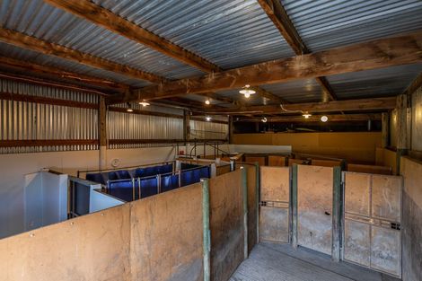 Photo of property in 203 Brookside & Irwell Road, Leeston, 7682