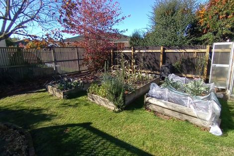 Photo of property in 5 Williamson Place, Geraldine, 7930