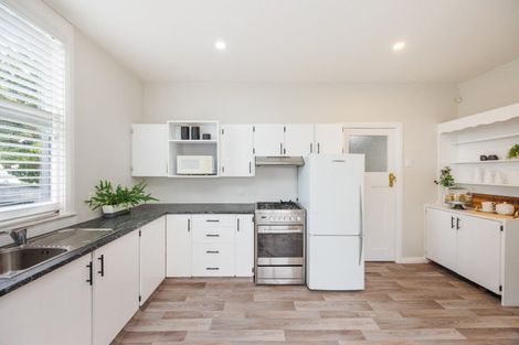 Photo of property in 113 Shamrock Street, Takaro, Palmerston North, 4412