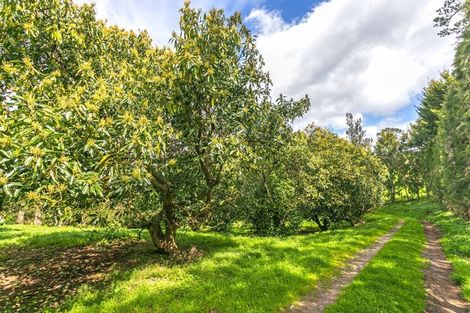 Photo of property in 231 Walford Road, Aongatete, Katikati, 3181