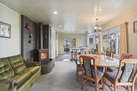 Photo of property in 15 Montrose Street, Waiau, 7332