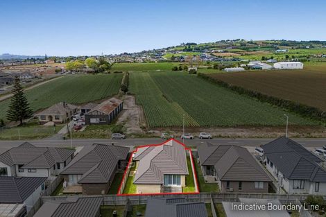 Photo of property in 299 Victoria Street West, Pukekohe, 2120