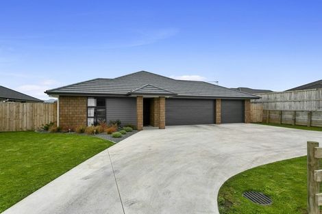 Photo of property in 5 Moroney Place, Matamata, 3400