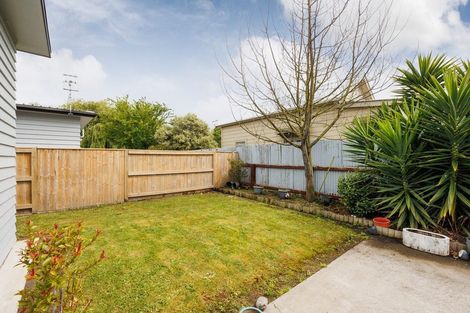 Photo of property in 3b Chamberlain Street, Feilding, 4702