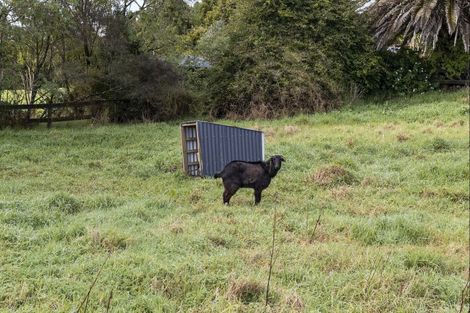 Photo of property in 238 Te Arai Point Road, Te Arai, Wellsford, 0975