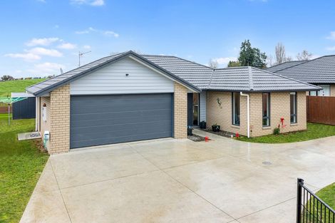 Photo of property in 2/91 Whitmore Street, Kihikihi, Te Awamutu, 3800