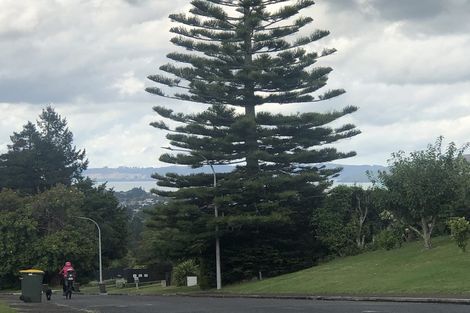 Photo of property in 30 Kerswell Terrace, Tihiotonga, Rotorua, 3015