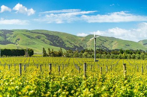 Photo of property in Redbank Estate, 224 Te Muna Road, Martinborough, 5784