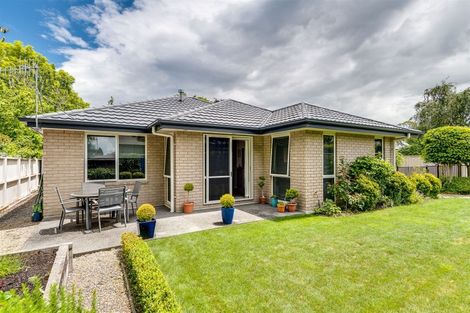 Photo of property in 609a York Street, Mahora, Hastings, 4120