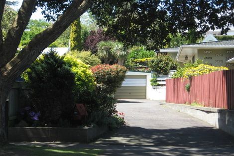 Photo of property in 34b College Street, College Estate, Whanganui, 4500