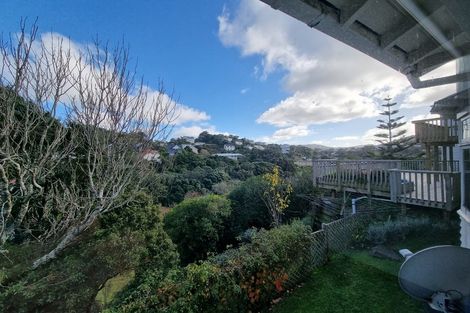 Photo of property in 62 Fairview Crescent, Kelburn, Wellington, 6012