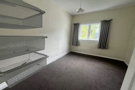 Photo of property in 217 Aro Street, Aro Valley, Wellington, 6021