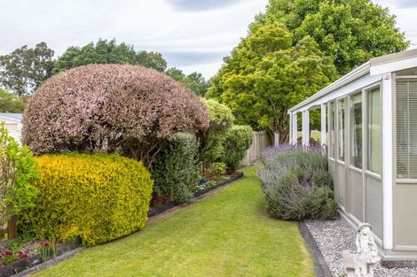 Photo of property in 31 Reading Street, Greytown, 5712