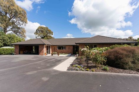 Photo of property in 39a Mahua Road, Feilding, 4777
