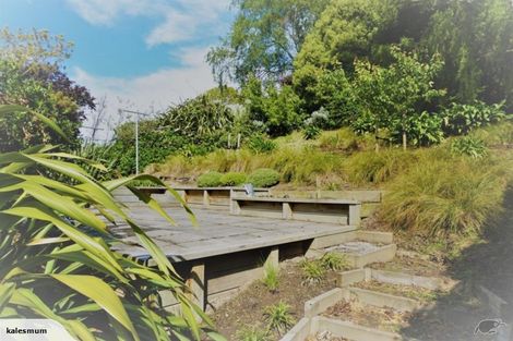 Photo of property in 21 Prospect Bank, Wakari, Dunedin, 9010