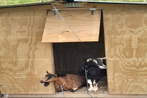 Photo of property in 7 James Road, Maungaturoto, 0587