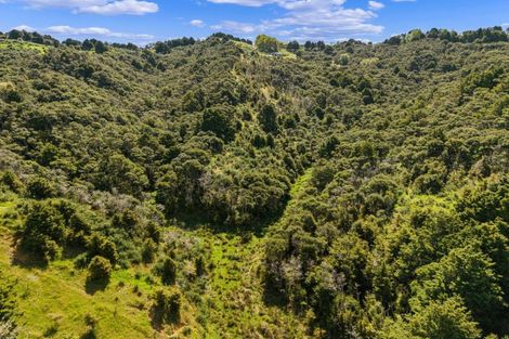 Photo of property in 957 Bull Road, Paparoa, 0193