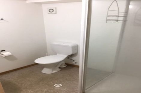 Photo of property in Wwmc Building, 1/101a Cuba Street, Te Aro, Wellington, 6011