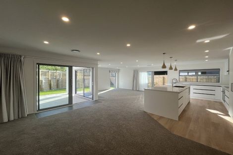 Photo of property in 197 John Burke Drive, Aotea, Porirua, 5024