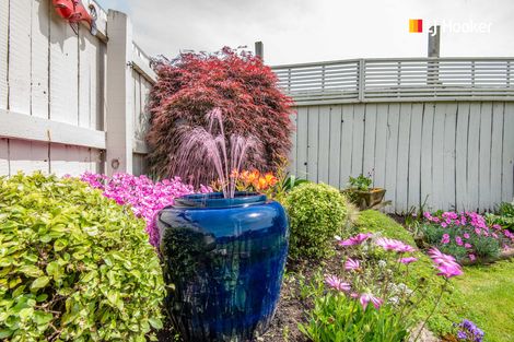 Photo of property in 31 Wickliffe Street, Mosgiel, 9024