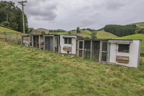 Photo of property in 66 Deer Park Road, Cheviot, 7310