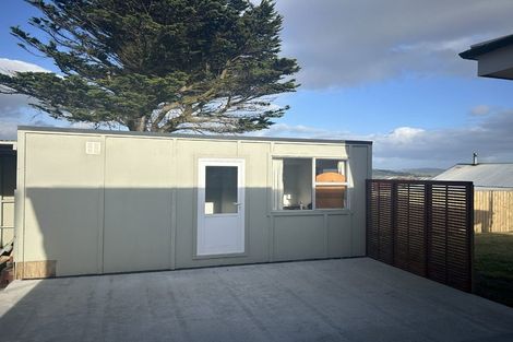 Photo of property in 49 Boyne Street, Bluff, 9814