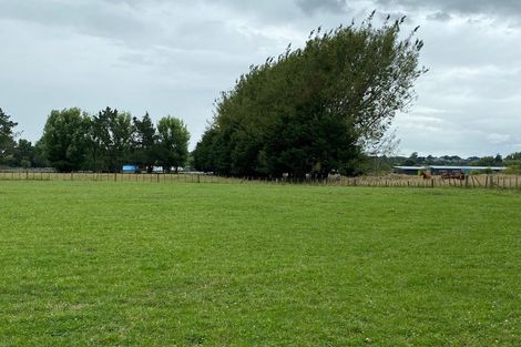 Photo of property in 156 Kawakawa Road, Feilding, 4775