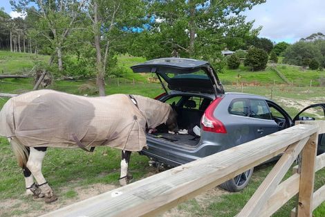 Photo of property in 7 James Road, Maungaturoto, 0587