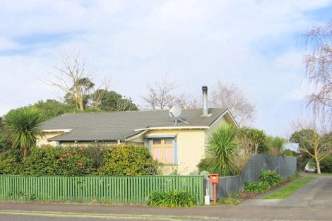 Photo of property in 34a Manson Street, Terrace End, Palmerston North, 4410