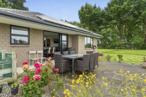 Photo of property in 81 Halls Road, Pahiatua, 4910