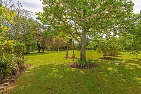 Photo of property in 467 Nelson Road, Riverdale, Gisborne, 4010