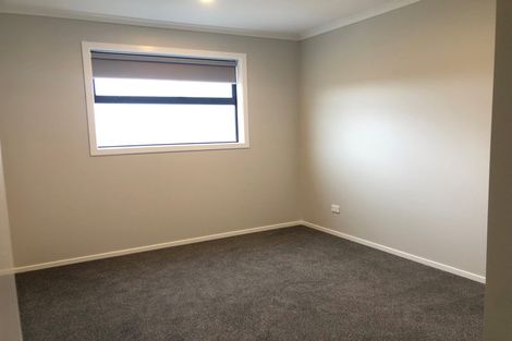Photo of property in 8 Mcpherson Place, Fairfield, Hamilton, 3214