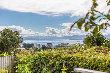 Photo of property in 28 Mortimer Terrace, Aro Valley, Wellington, 6021