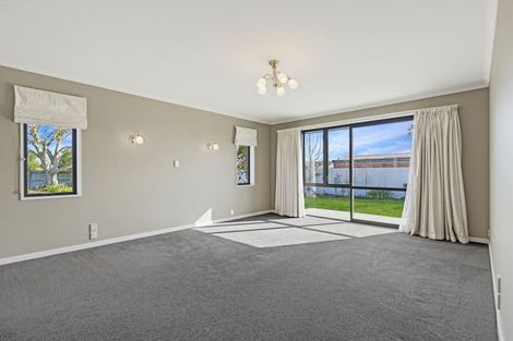Photo of property in 17 Buckleys Terrace, Tinwald, Ashburton, 7700