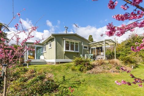 Photo of property in 175 Huatoki Street, Upper Vogeltown, New Plymouth, 4310