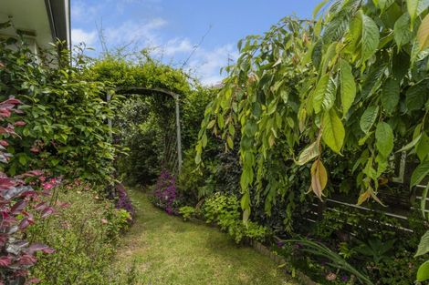 Photo of property in 6 Capstan Close, Pyes Pa, Tauranga, 3112